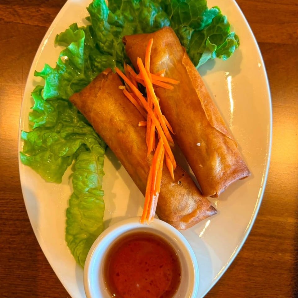 Two crispy spring rolls with shredded carrots and lettuce, served with a dipping sauce.